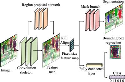 Fruit Detection and Pose Estimation for Grape Cluster–Harvesting Robot Using Binocular Imagery Based on Deep Neural Networks